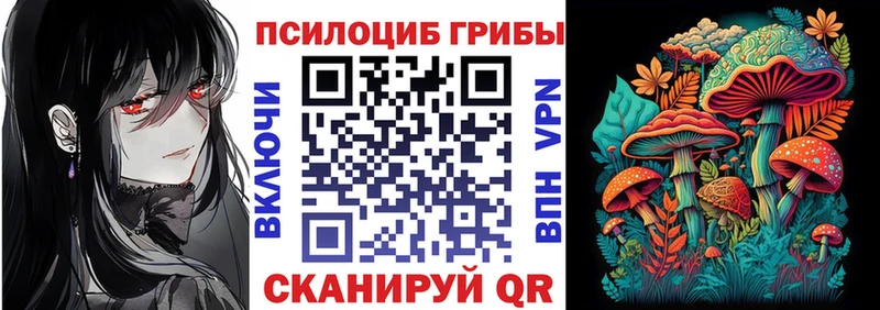 Псилоцибиновые грибы прущие грибы  Купить закладки  Инза 
